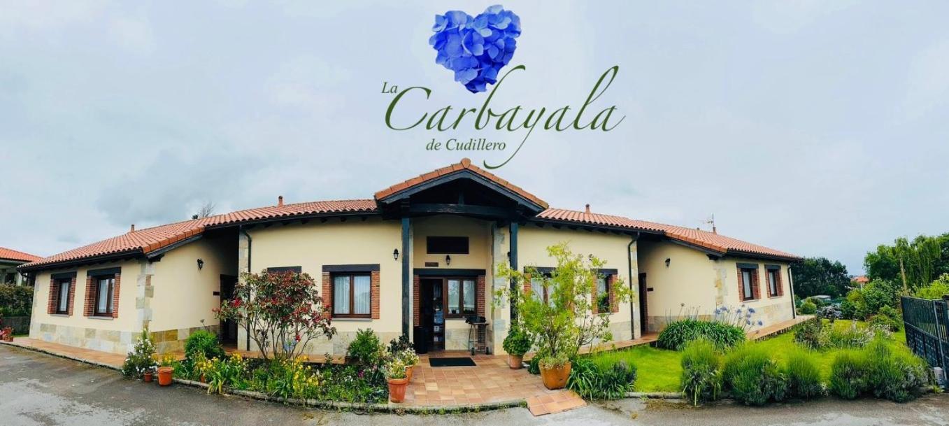 Apartamentos Rurales La Carbayala Oviñana Eksteriør bilde