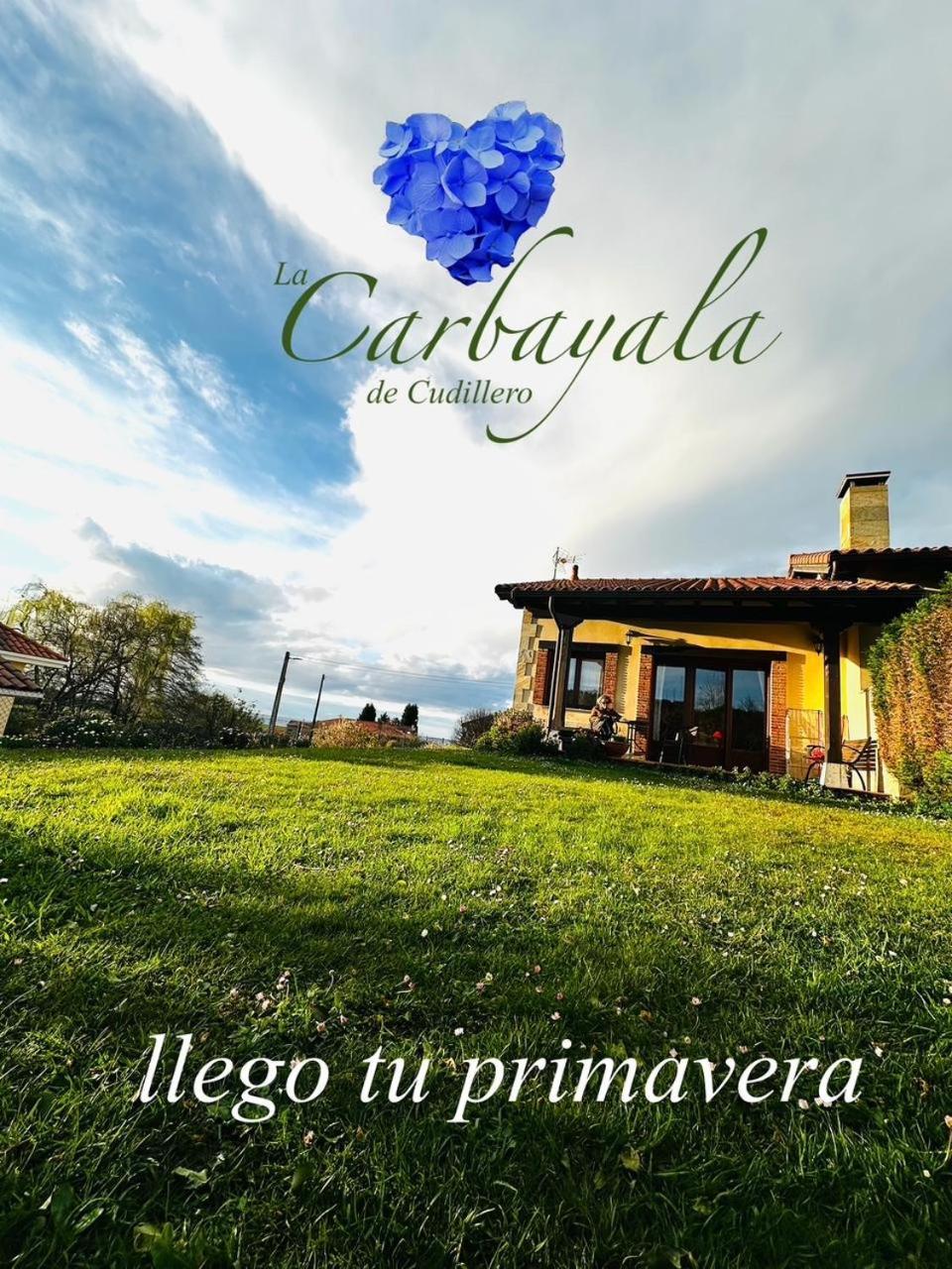 Apartamentos Rurales La Carbayala Oviñana Eksteriør bilde
