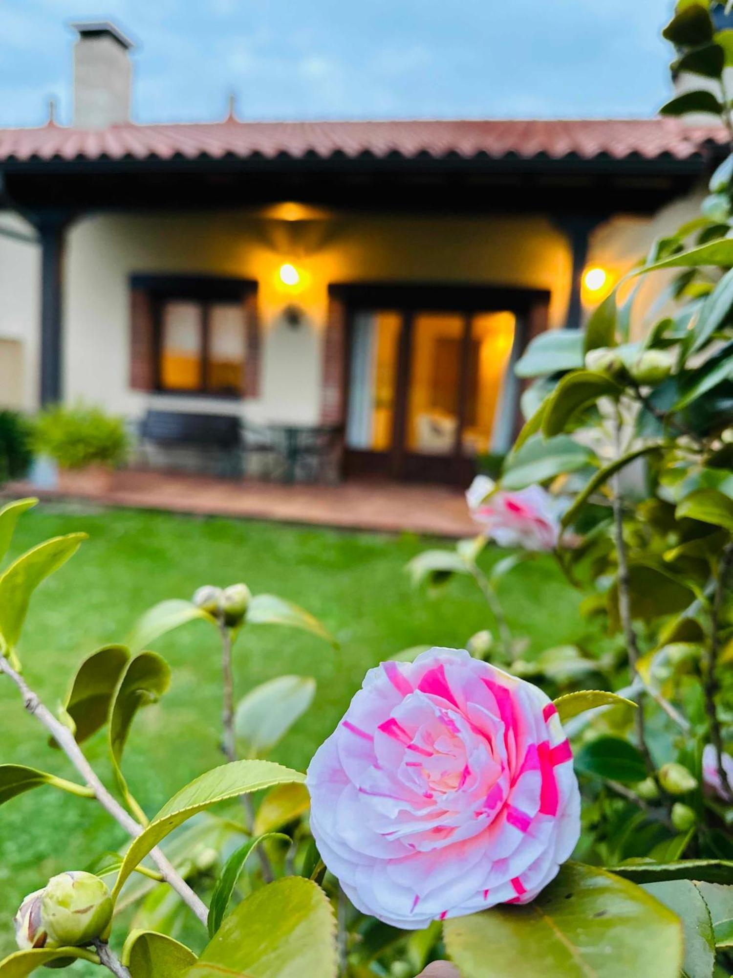 Apartamentos Rurales La Carbayala Oviñana Eksteriør bilde